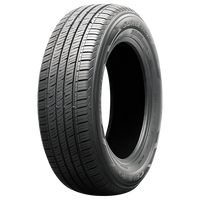 225/60R17 99H Celimo SALIENT CS210